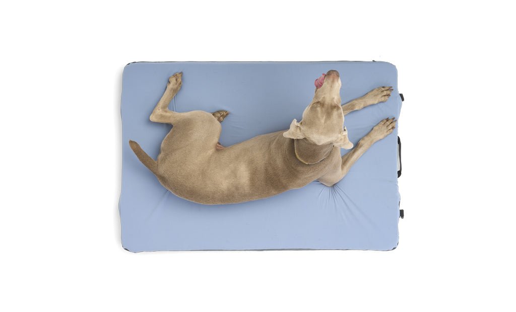 HEST Dog Bed - Zero One Outpost