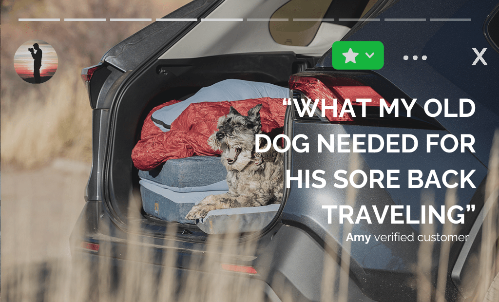 HEST Dog Bed - Zero One Outpost