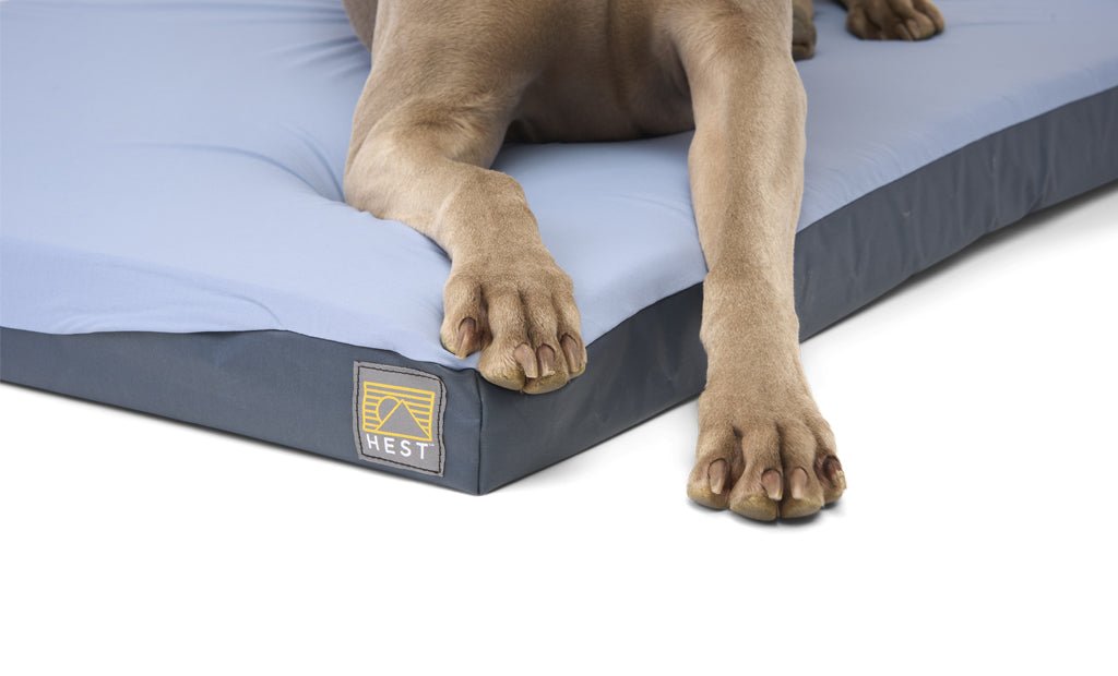 HEST Dog Bed - Zero One Outpost